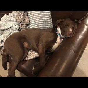 Meet your Posher, Michaela